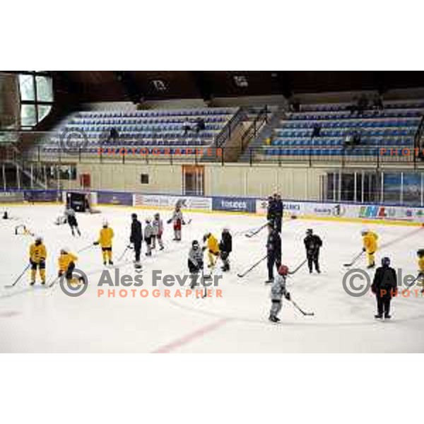 Summer Ice Hockey Academy in Bled Ice Hockey Hall, Slovenia on July 9, 2019