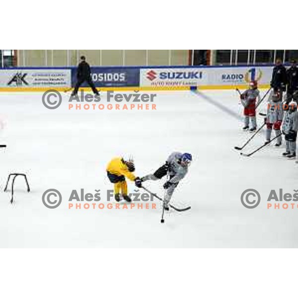 Summer Ice Hockey Academy in Bled Ice Hockey Hall, Slovenia on July 9, 2019