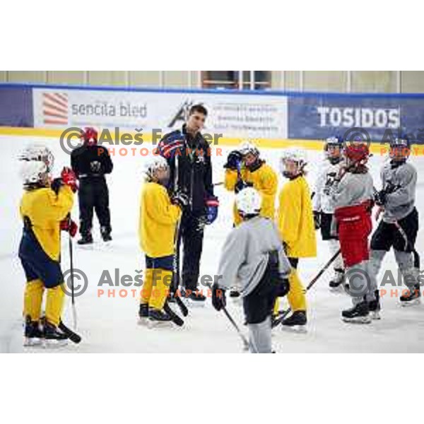 Summer Ice Hockey Academy in Bled Ice Hockey Hall, Slovenia on July 9, 2019