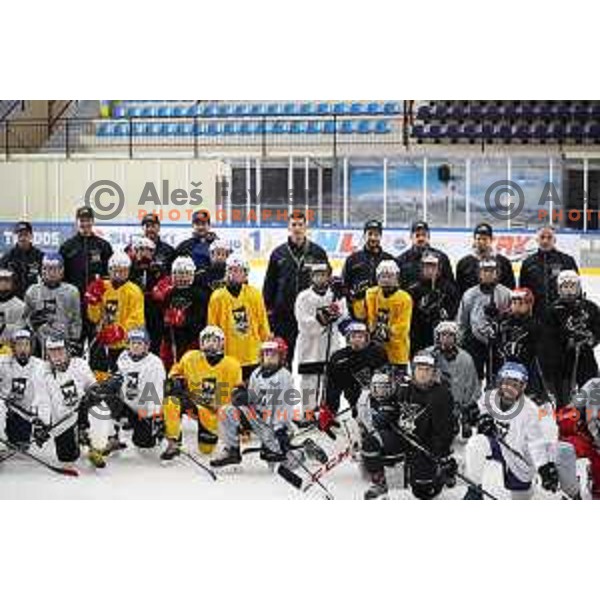 Summer Ice Hockey Academy in Bled Ice Hockey Hall, Slovenia on July 9, 2019