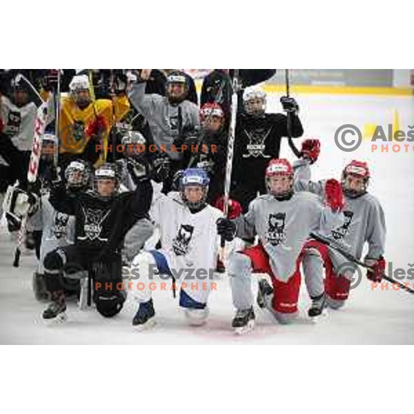 Summer Ice Hockey Academy in Bled Ice Hockey Hall, Slovenia on July 9, 2019