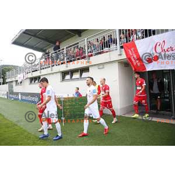 action during Prva Liga Telekom Slovenije 2019/2020 football match between Tabor Cherry Box 24 and Aluminij in Sezana, Slovenia on July 13, 2019