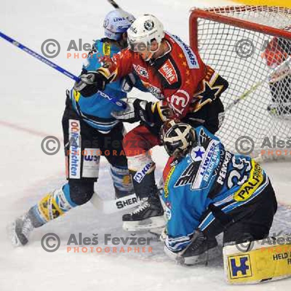 Paul Healey at fourth game of EBEL quater final , Jesenice - Linz 