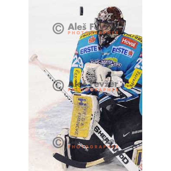 Penker at fourth game of EBEL quater final , Jesenice - Linz 