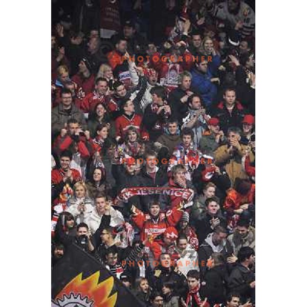Jesenice fans celebrate at fourth game of EBEL quater final , Jesenice - Linz 
