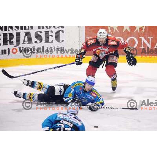 Gregor Poloncic at fourth game of EBEL quater final , Jesenice - Linz 