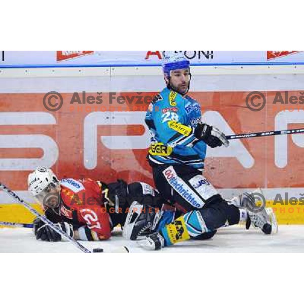 Luka Zagar at fourth game of EBEL quater final , Jesenice - Linz 