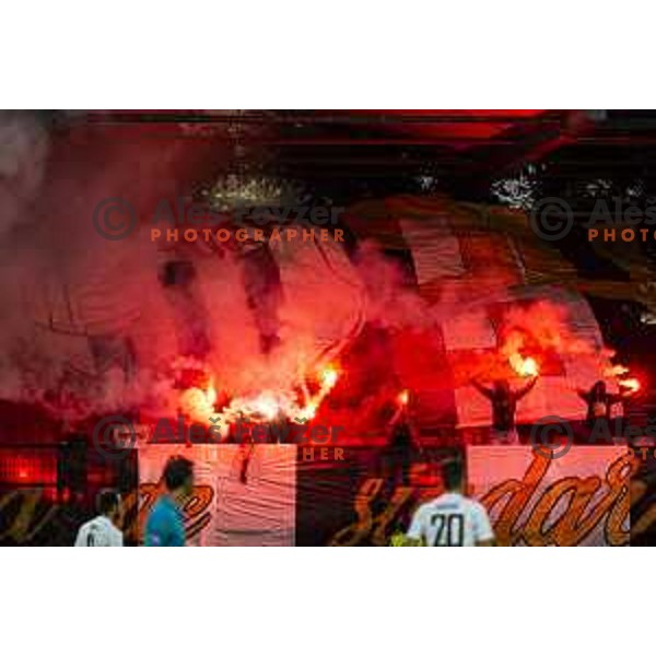 Black Gringos in action during Prva liga Telekom Slovenije 2019/20 football match between Mura and Maribor in Fazanerija, Murska Sobota, Slovenia on August 3, 2019
