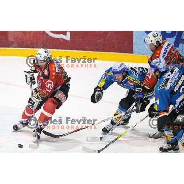 Conny Stromberg and Henrik Malmstrom at fourth game of EBEL quater final , Jesenice - Linz 