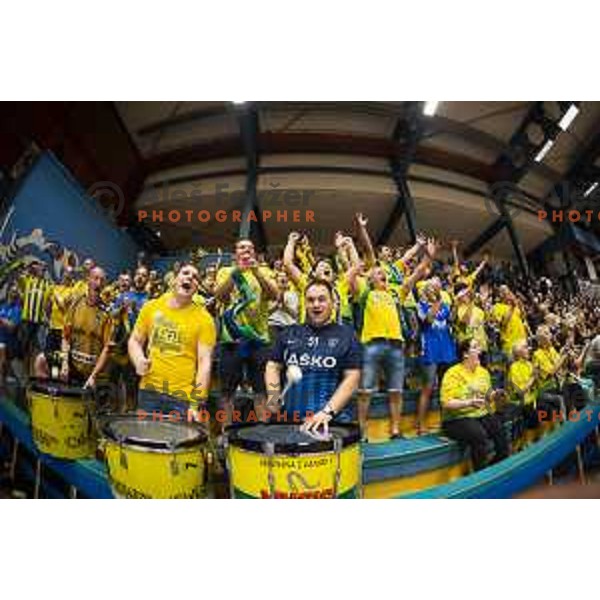 Florijani during Slovenian Supercup handball match between Gorenje Velenje and Celje Pivovarna Lasko in Slovenj Gradec, Slovenia on August 30, 2019