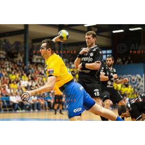 Josip Sarac in action during Slovenian Supercup handball match between Gorenje Velenje and Celje Pivovarna Lasko in Slovenj Gradec, Slovenia on August 30, 2019