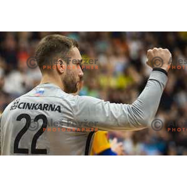 Klemen Ferlin celebrating during Slovenian Supercup handball match between Gorenje Velenje and Celje Pivovarna Lasko in Slovenj Gradec, Slovenia on August 30, 2019