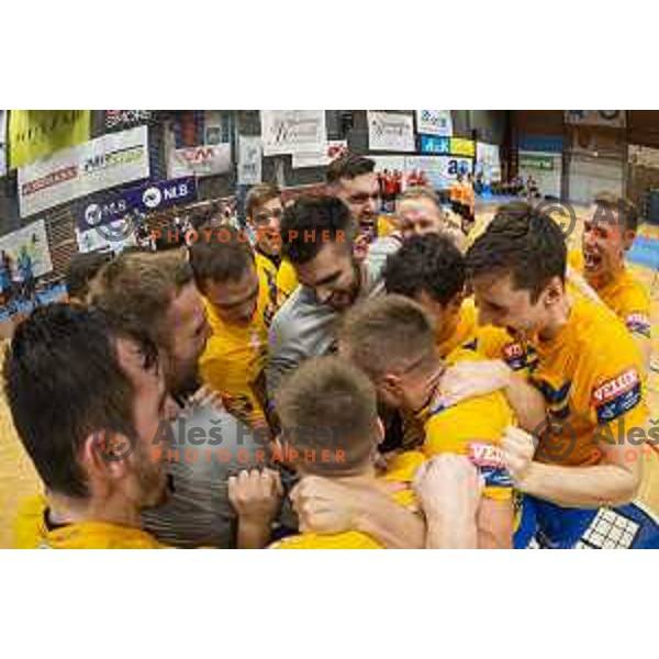 Players of Celje Pivovarna Lasko celebrating during Slovenian Supercup handball match between Gorenje Velenje and Celje Pivovarna Lasko in Slovenj Gradec, Slovenia on August 30, 2019