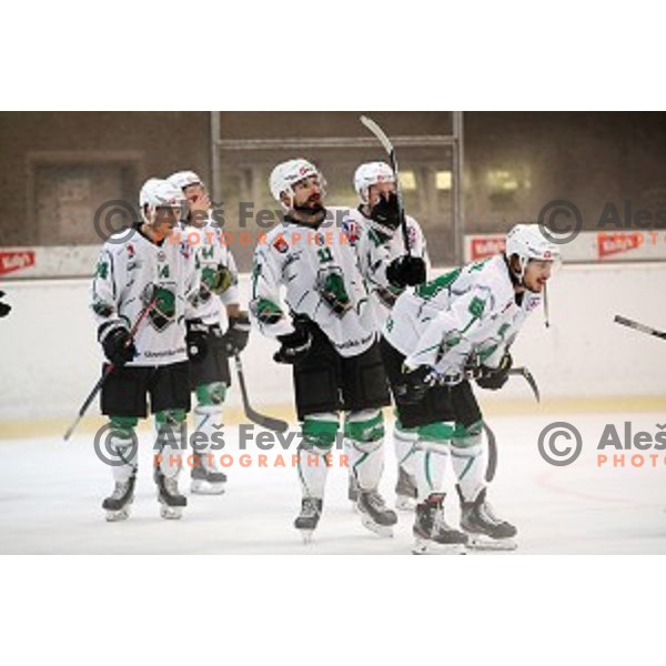 in action at Slovenian Cup Final ice-hockey match between SZ Olimpija and Acroni Jesenice in Kranj on September 7, 2019