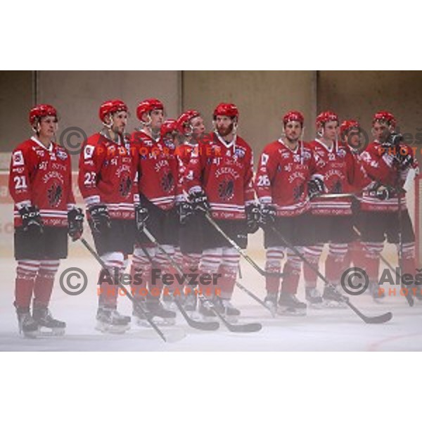 in action at Slovenian Cup Final ice-hockey match between SZ Olimpija and Acroni Jesenice in Kranj on September 7, 2019