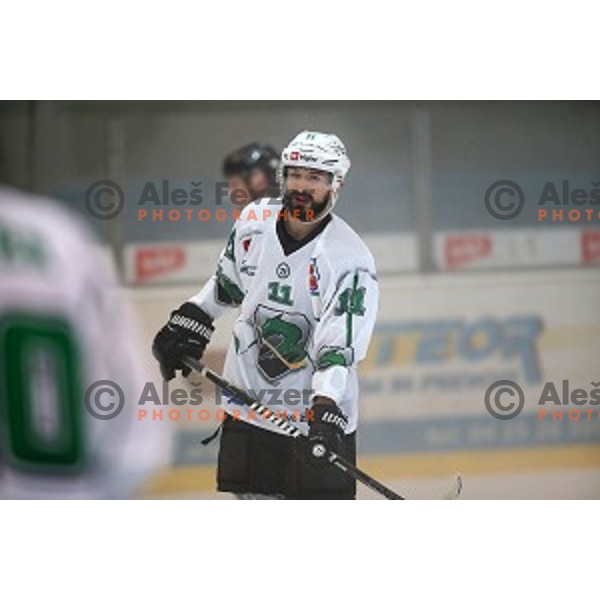 Ziga Pesut in action at Slovenian Cup Final ice-hockey match between SZ Olimpija and Acroni Jesenice in Kranj on September 7, 2019