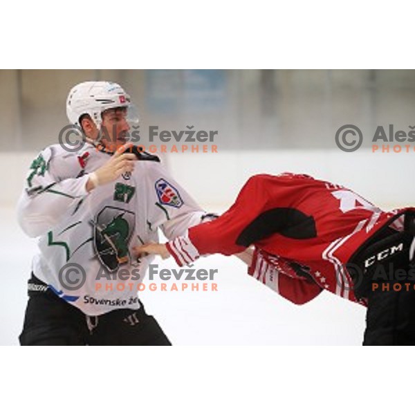 MArk Cepon and Gasper Glavic fights in Slovenian Cup Final ice-hockey match between SZ Olimpija and Acroni Jesenice in Kranj on September 7, 2019