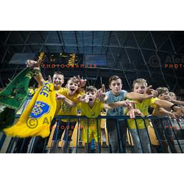 Fans of Celje PL during Velux EHF Champions League 2019/20 handball match between Celje Pivovarna Lasko and Flensburg in Zlatorog Arena, Celje, Slovenia on September 15, 2019
