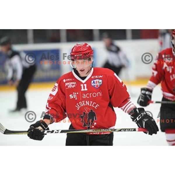 of Acroni Jesenice in action during Alps League ice-hockey match between Acroni Jesenice and Fassa in Podmezakla Hall, Jesenice on September 21, 2019