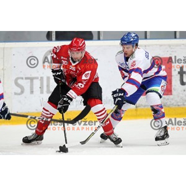 of Acroni Jesenice in action during Alps League ice-hockey match between Acroni Jesenice and Fassa in Podmezakla Hall, Jesenice on September 21, 2019