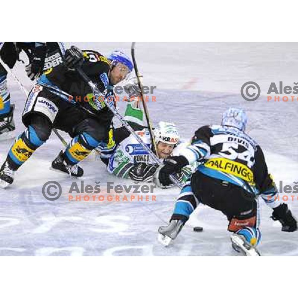 Tomaz Vnuk at the second game of EBEL league semi-finals, ZM Olimpija - Blackwings Linz, Tivoli, Ljubljana 