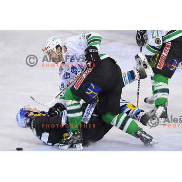 Ziga Pavlin at the second game of EBEL league semi-finals, ZM Olimpija - Blackwings Linz, Tivoli, Ljubljana 