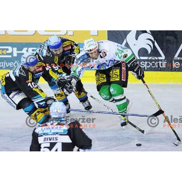 Tomaz Vnuk at the second game of EBEL league semi-finals, ZM Olimpija - Blackwings Linz, Tivoli, Ljubljana 