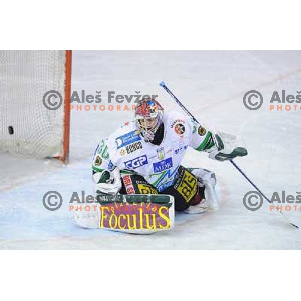 Alex Westlund at the second game of EBEL league semi-finals, ZM Olimpija - Blackwings Linz, Tivoli, Ljubljana 