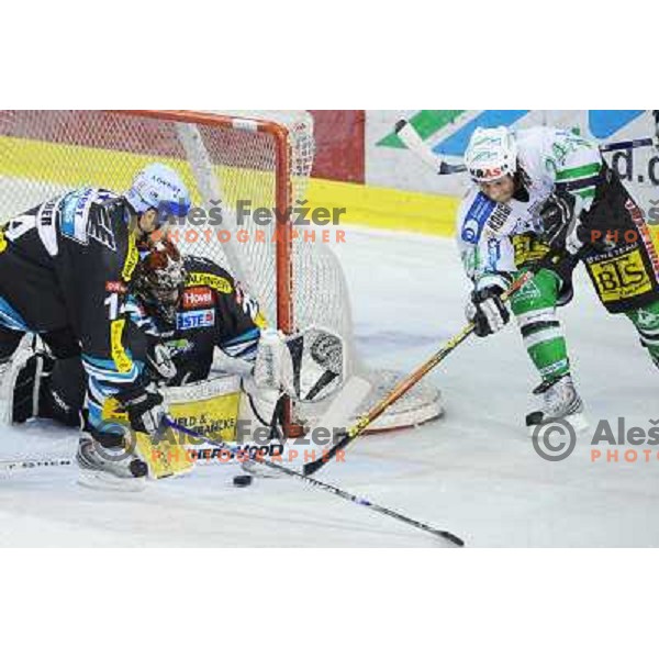 Tomaz Vnuk at the second game of EBEL league semi-finals, ZM Olimpija - Blackwings Linz, Tivoli, Ljubljana 