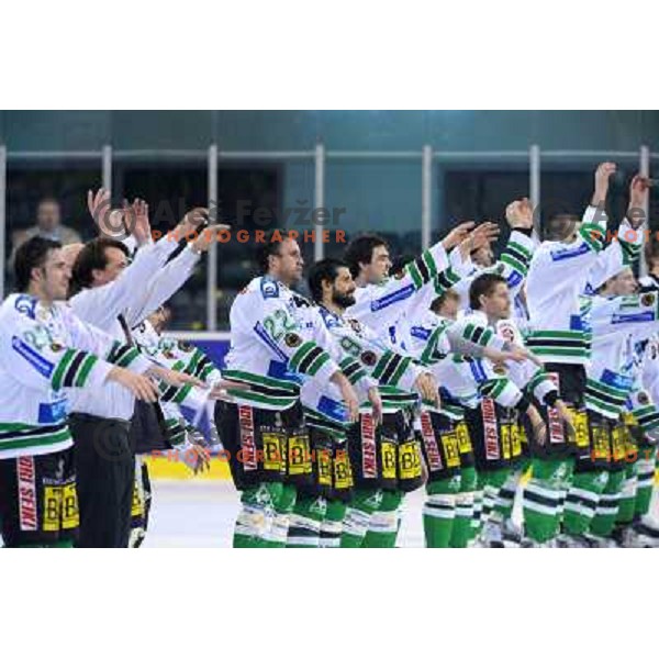 Olimpija celebrates victory at the second game of EBEL league semi-finals, ZM Olimpija - Blackwings Linz, Tivoli, Ljubljana 