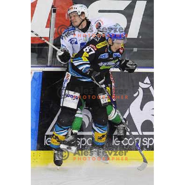 Passi Jussilainen at the second game of EBEL league semi-finals, ZM Olimpija - Blackwings Linz, Tivoli, Ljubljana 