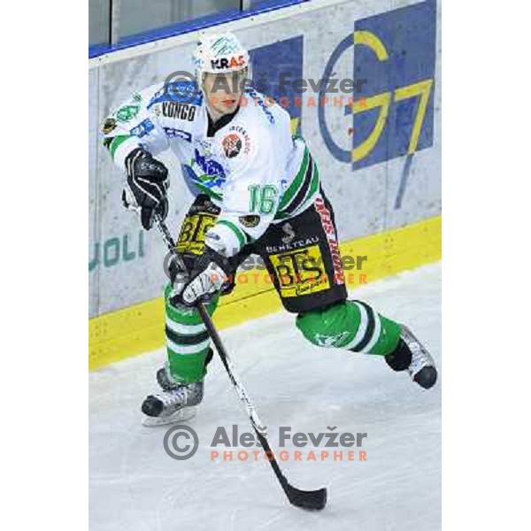 Ales Music at the second game of EBEL league semi-finals, ZM Olimpija - Blackwings Linz, Tivoli, Ljubljana 