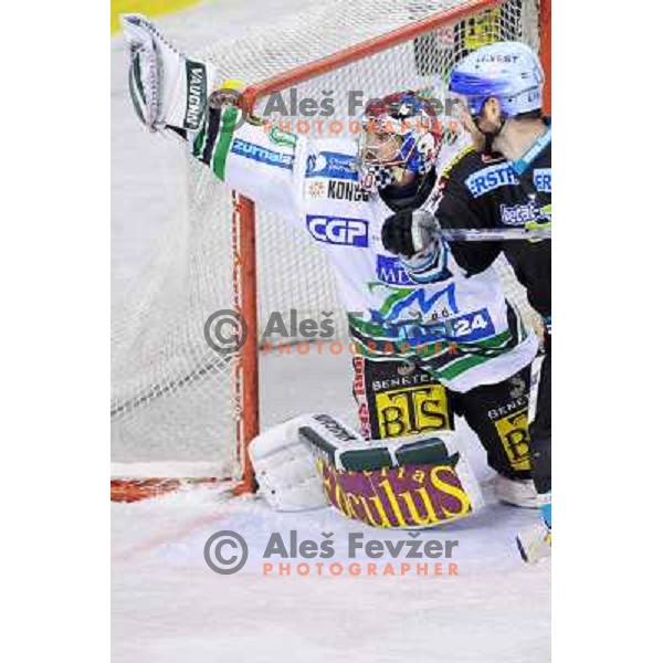 Alex Westlund at the second game of EBEL league semi-finals, ZM Olimpija - Blackwings Linz, Tivoli, Ljubljana 