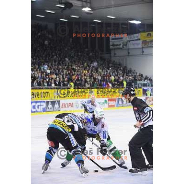 Todd Elik at the second game of EBEL league semi-finals, ZM Olimpija - Blackwings Linz, Tivoli, Ljubljana 