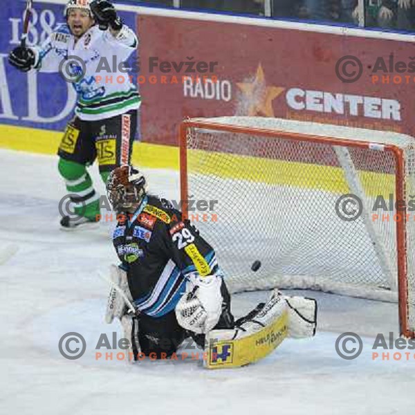 Brendan Yarema celebrates goal at the second game of EBEL league semi-finals, ZM Olimpija - Blackwings Linz, Tivoli, Ljubljana 