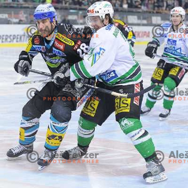 Jaka Augustincic at the second game of EBEL league semi-finals, ZM Olimpija - Blackwings Linz, Tivoli, Ljubljana 
