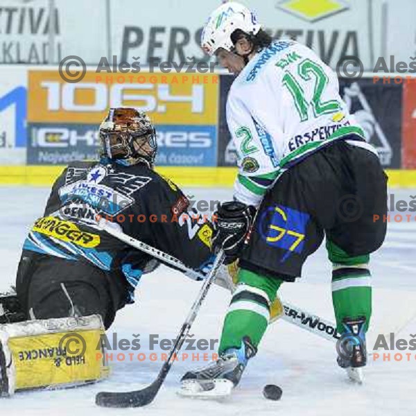 Todd Elik at the second game of EBEL league semi-finals, ZM Olimpija - Blackwings Linz, Tivoli, Ljubljana 