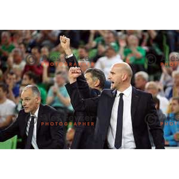Marko Maravic, assistant coach of COL in action during 7Days EuroCup first round basketball match between Cedevita Olimpija Ljubljana (SLO) and Darusafaka Tekfen Istanbul (TUR) in Arena Stozice, Ljubljana, Slovenia on October 2, 2019
