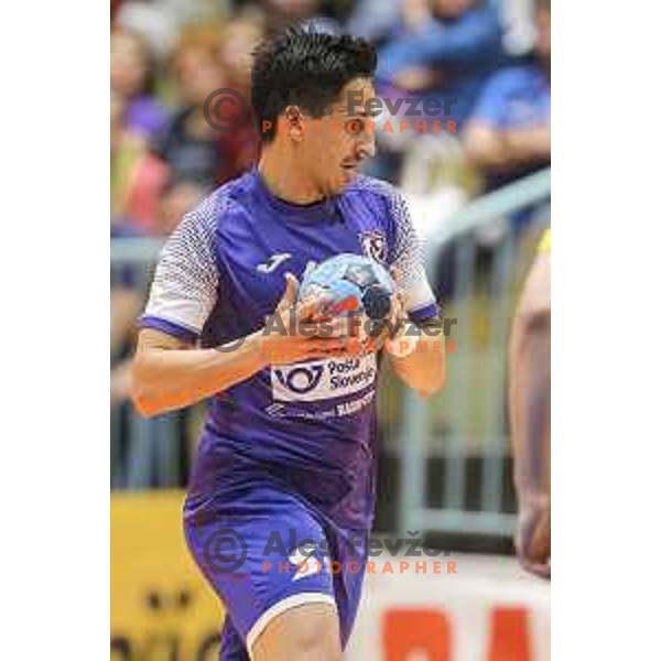 in action during Liga NLB handball match between Maribor Branik and Celje Pivovarna Lasko in Dvorana Tabor, Maribor, Slovenia on October 5, 2019