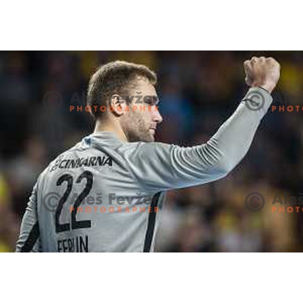 Klemen Ferlin celebrating during Velux EHF Champions League 2019/20 handball match between Celje Pivovarna Lasko and Elverum in Zlatorog Arena, Celje, Slovenia on October 20, 2019