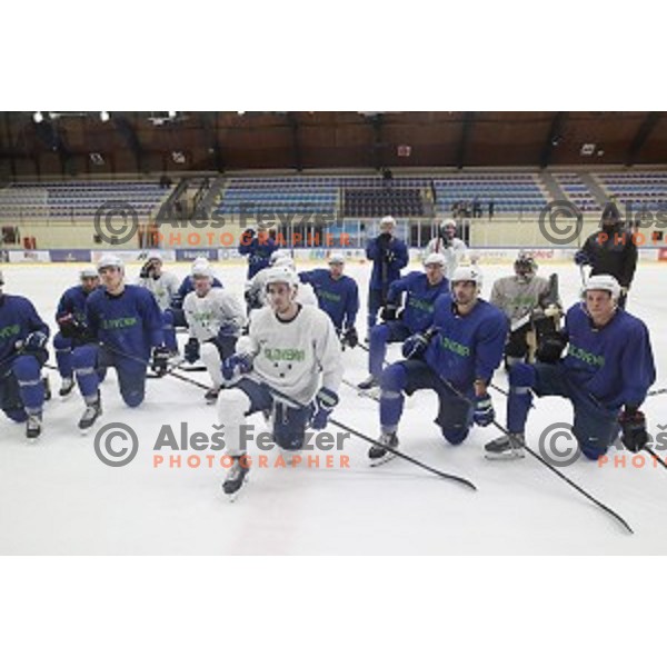 of Slovenia ice-hockey team during practice session in Bled Ice Hall on November 4, 2019