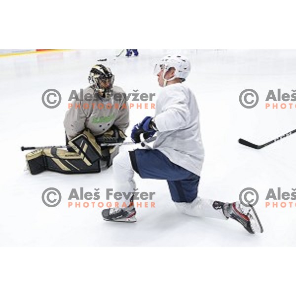 Matija Pintaric of Slovenia ice-hockey team during practice session in Bled Ice Hall on November 4, 2019
