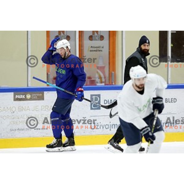 of Slovenia ice-hockey team during practice session in Bled Ice Hall on November 4, 2019