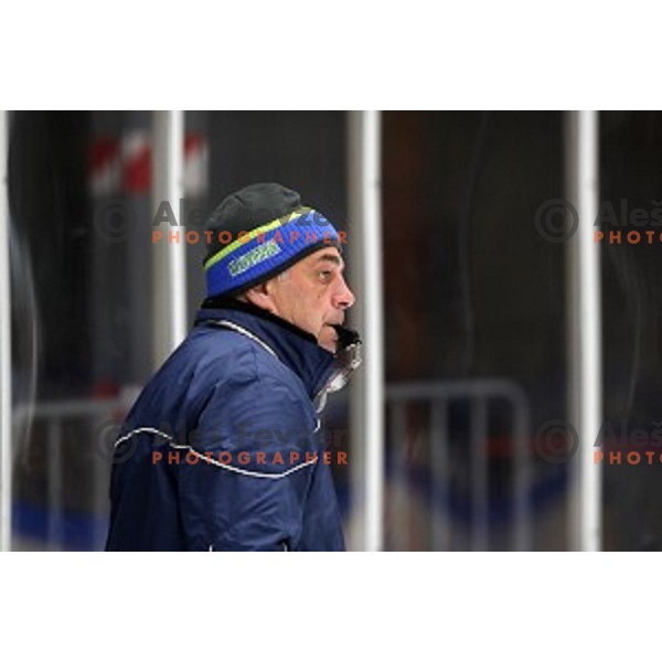 Matjaz Kopitar, head coach of Slovenia ice-hockey team during practice session in Bled Ice Hall on November 4, 2019