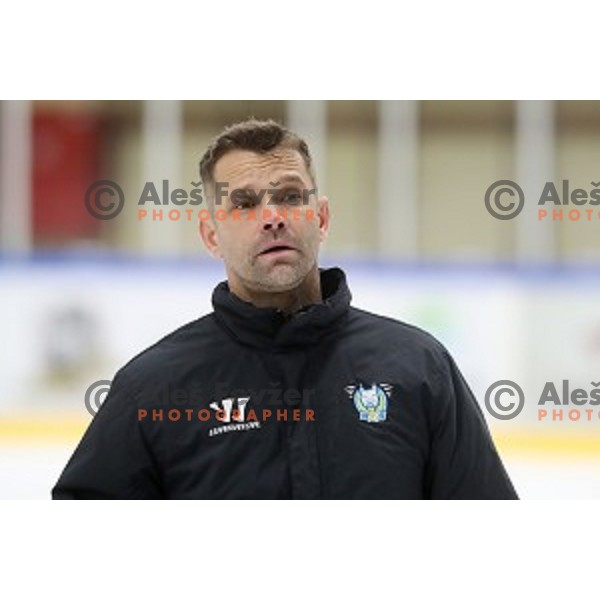 of Slovenia ice-hockey team during practice session in Bled Ice Hall on November 4, 2019