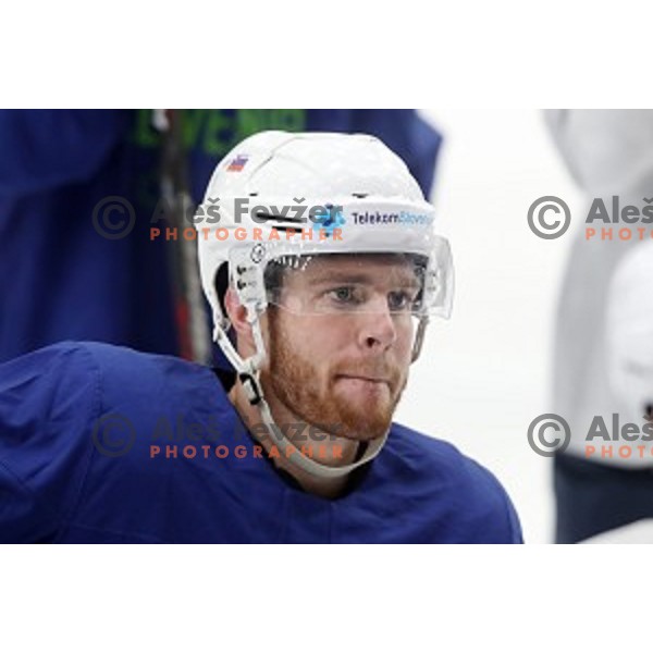 of Slovenia ice-hockey team during practice session in Bled Ice Hall on November 4, 2019