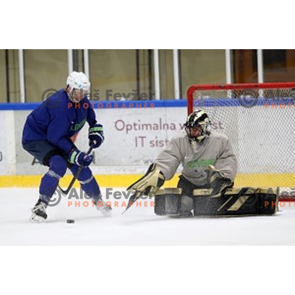 Ziga Jeglic of Slovenia ice-hockey team during practice session in Bled Ice Hall on November 4, 2019