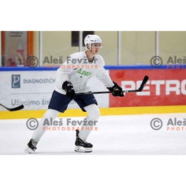 of Slovenia ice-hockey team during practice session in Bled Ice Hall on November 4, 2019
