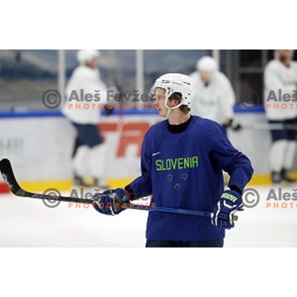 Ziga Jeglic of Slovenia ice-hockey team during practice session in Bled Ice Hall on November 4, 2019