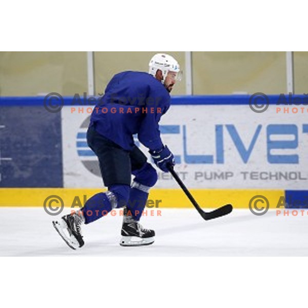 of Slovenia ice-hockey team during practice session in Bled Ice Hall on November 4, 2019